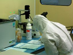 El coronavirus ha causado más de 21 mil muertes en Italia. EFE / L. Ligouri