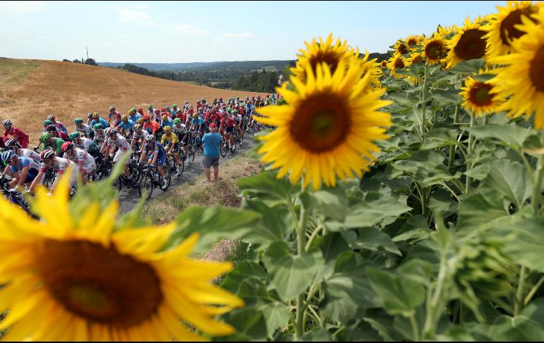 Por primera vez desde la Segunda Guerra Mundial, el Tour ha sufrido una alteración y de julio se desplazará entre el 29 de agosto y el 20 de septiembre. AP / ARCHIVO