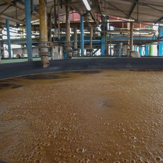 Un millón de empleos y 200 mil empresas están en riesgo: Concamin