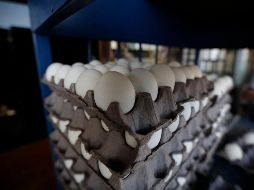 Según datos de la Profeco, cada mexicano consume en promedio 23 kilogramos de huevo al año. EL INFORMADOR / F. Atilano