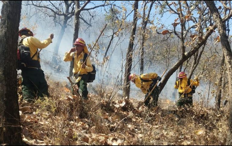 TWITTER / @SemadetJal