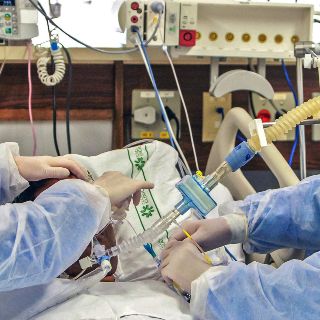 Reservan 778 camas para fase crítica del virus en IMSS Jalisco