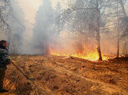 Imagen del siniestro apagado el martes. EFE