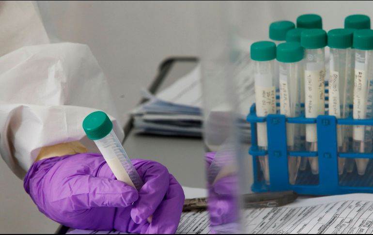 De acuerdo con la OMS, una vacuna específica para el nuevo coronavirus, que ha desencadenado la actual pandemia, podría tomar al menos 12 meses o más. EFE / ARCHIVO