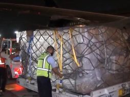 La carga fue recibida por el director general del IMSS, Zoé Robledo, en conjunto con personal del Ejército. ESPECIAL