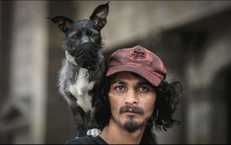 FAUNA. Las mascotas también son protegidas, ante los primeros reportes de contagios de algunos animales alrededor del planeta. EL INFORMADOR • F. Atilano 