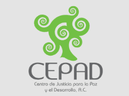 Pérez Verónica estuvo al frente del Cepad desde el 2006. ESPECIAL