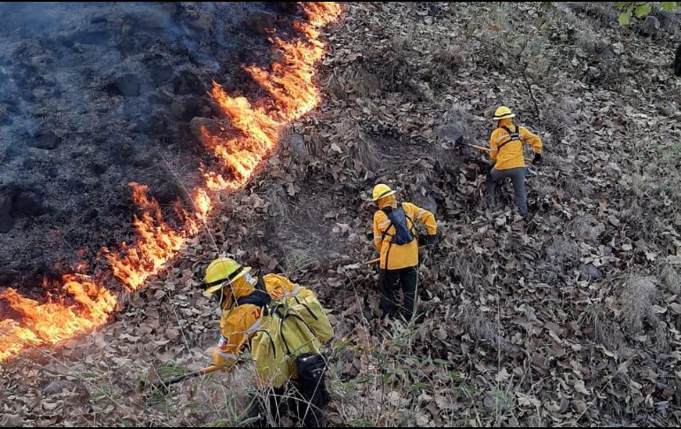 En total, fueron 39 elementos de Zapopan y 24 de la Conafor los que participaron hasta controlar el siniestro. ESPECIAL