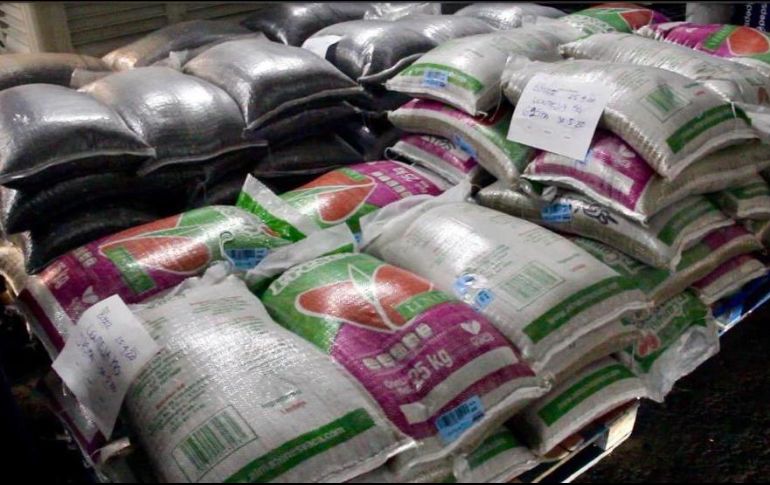 Gobiernos y asociaciones enfocan la ayuda a la población sin ingresos por la contingencia. ESPECIAL