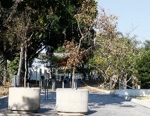 Denuncian falta de riego en áreas verdes de Parque Alcalde