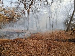 En las tareas para apagar el fuego se utilizó el helicóptero “El Palomo”. TWITTER / @GobTlajomulco