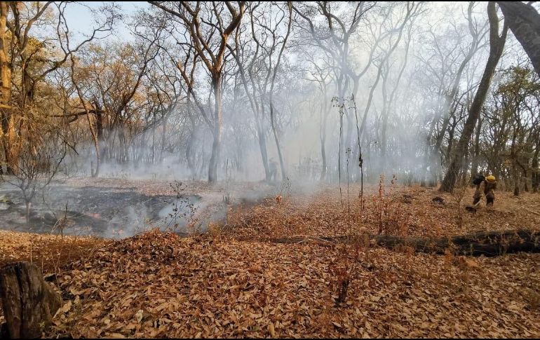 En las tareas para apagar el fuego se utilizó el helicóptero “El Palomo”. TWITTER / @GobTlajomulco