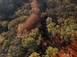 El incendio en el área natural protegida se registró desde la mañana de este miércoles. ESPECIAL