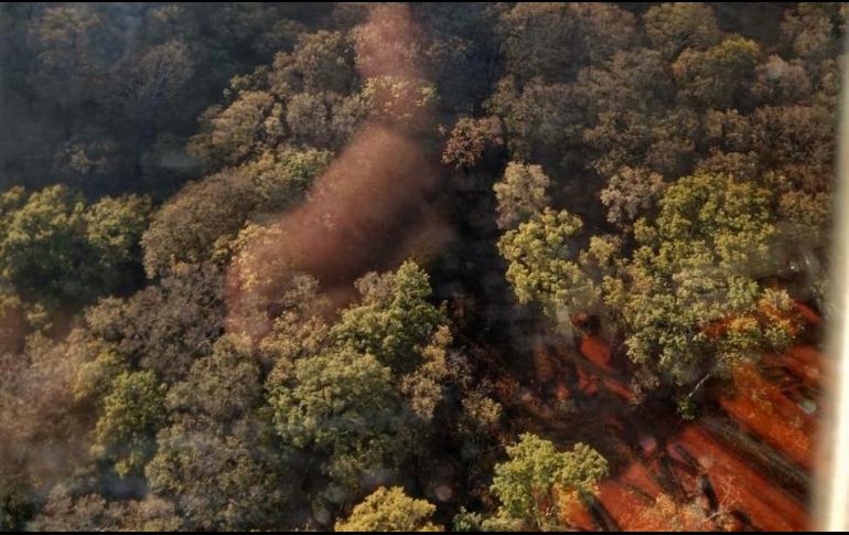 El incendio en el área natural protegida se registró desde la mañana de este miércoles. ESPECIAL