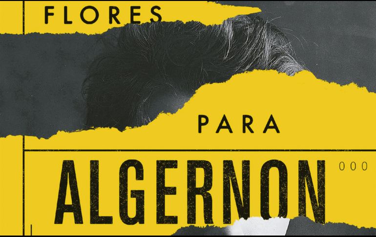 “Flores para Algernon”. Una obra de Daniel Keyes. ESPECIAL