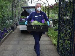 El estratega lusitano durante estos días ayuda a abastecer de comida el campo de entrenamiento del Tottenham, 