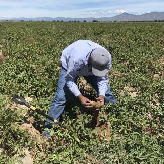 El PIB disminuyó 1.6 por ciento en primer trimestre del año: Inegi