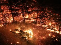 En el combate a las llamas trabajn mil 270 brigadistas. EFE/YONHAP