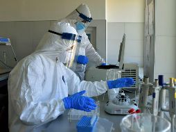 El laboratorio farmacéutico Gilead actualmente realiza ensayos clínicos en Estados Unidos y ha mostrado avances alentadores. EFE / ARCHIVO