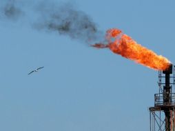 Datos regionales demuestran un ligero repunte en la demanda, que se llegó a desplomar más de un 30 % en el peor punto de la pandemia. EFE/ARCHIVO