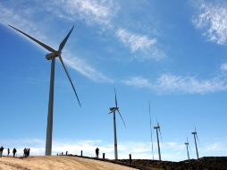 Comunidades mayas señalaron que no tuvieron oportunidad de consultar la evaluación de impacto social emitida por la Sener sino hasta que la solicitaron vía transparencia. NTX/ARCHIVO