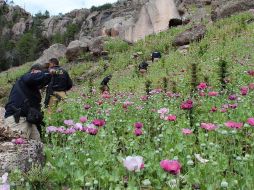 Advierten que los narcos podrían aprovecharse de la vulnerable situación de los más pobres para aumentar su prestigio. NTX/ARCHIVO