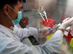 El Gobierno investiga a algunas instituciones del país, como la UNAM, para que puedan participar en el diseño de la vacuna. EFE / R. Yongrit