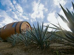 Tequila. Matices Hotel de Barricas, proyecto turístico que colocó al Pueblo Mágico de Tequila como un destino deseado entre los viajeros. EFE