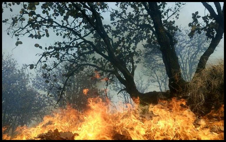 A nivel nacional Jalisco se encuentra en el quinto lugar nacional con mayor número de incendios. ESPECIAL / Semadet