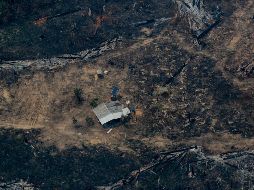 La región de Ituna-Itatá fue la más deforestada en 2019, según los datos del Programa de cálculo de la Deforestación Brasileña (Prodes). AFP/L. Sampaio