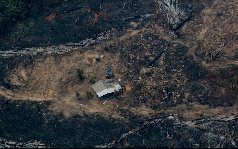 La región de Ituna-Itatá fue la más deforestada en 2019, según los datos del Programa de cálculo de la Deforestación Brasileña (Prodes). AFP/L. Sampaio
