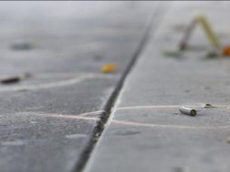 Fue un reporte al 911 donde se informa que había una persona tirada en la vía pública sobre avenida Adolf B. Horn al cruce de Arvento. EL INFORMADOR / ARCHIVO