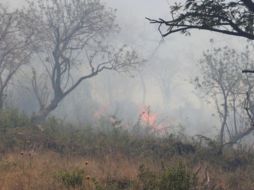 El incendio fue controlado a las 15:30 horas y el personal permanece en el sitio para labores de enfriamiento de puntos humeantes. ESPECIAL/ PCYB Tlajomulco