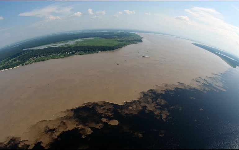 En el acumulado del año, la tala de árboles en la Amazonía alcanzó mil 073 kilómetros cuadrados. EFE/Archivo