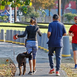 Corredores ignoran medidas sanitarias en Zapopan
