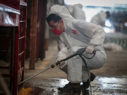 Además de la calle 9, las calles 11 y 13 también fueron intervenidas con limpieza a profundidad. EL INFORMADOR/F. Atilano