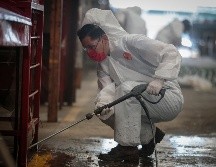 Además de la calle 9, las calles 11 y 13 también fueron intervenidas con limpieza a profundidad. EL INFORMADOR/F. Atilano
