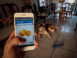 La pandemia también ha motivado la entrada de alimentos y abarrotes en las promociones, antes casi limitadas a electrónicos. EL INFORMADOR/F