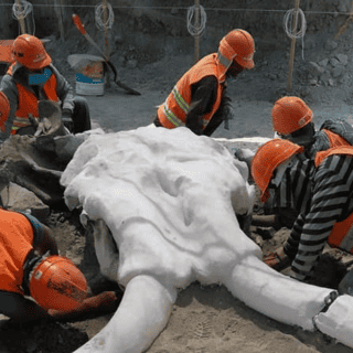 Hallan restos de 60 mamuts en nuevo Aeropuerto de Santa Lucía