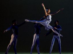 La organización agregó que se ha 