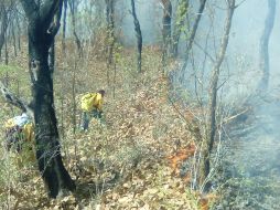 Actualmente trabajan un total de 52 elementos en el combate del incendio. ESPECIAL /