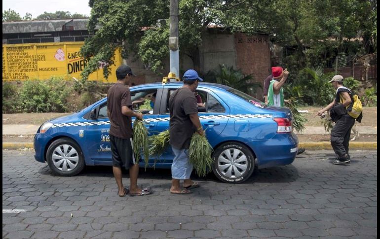 El ramo de hojas de eucalipto se vende entre uno y dos dólares en las calles del país. EFE/J. Torres