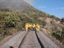 En el combate al fuego participaron 250 combatientes de Bomberos Zapopan, Conafor, y de la Semadet. ESPECIAL /