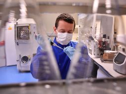 La vacuna ChAdOx1 nCoV-19 está hecha de una versión debilitada de un adenovirus causante de infecciones en los chimpancés, y modificada genéticamente para que sea imposible que se replique en humanos. AFP/B. Stansall