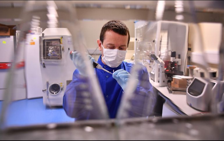 La vacuna ChAdOx1 nCoV-19 está hecha de una versión debilitada de un adenovirus causante de infecciones en los chimpancés, y modificada genéticamente para que sea imposible que se replique en humanos. AFP/B. Stansall