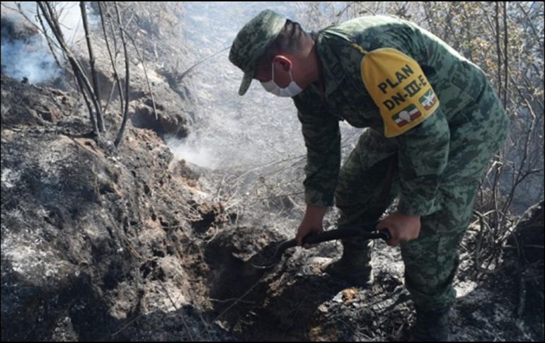 Los elementos desplegados realizaron labores de combate a incendios empleando herramientas de mano para la elaboración de brechas cortafuego. TWITTER/@SEDENAmx