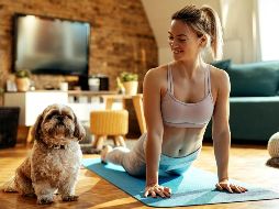 La disciplina que está de moda es la “Doga”, que en realidad es yoga para perros. ESPECIAL