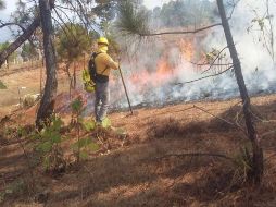 INCENDIOS. Según los organismos, la vegetación afectada es en su mayoría pastos y matorrales. ARCHIVO
