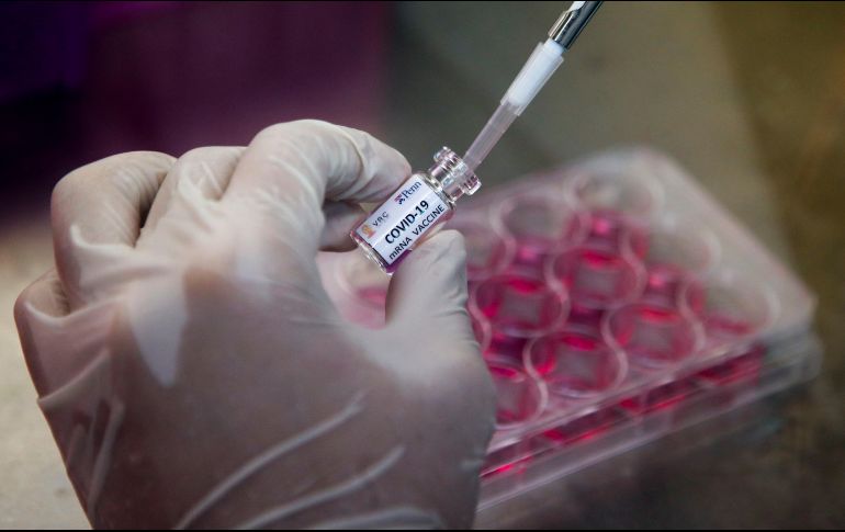 Si los tests sobre los macacos son positivos, los ensayos sobre humanos podrían empezar en octubre y estar disponibles en 