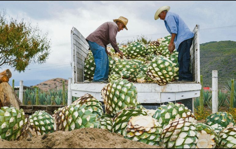 Las mercancias exportadas por México el pasado mes fueron por un monto de 23 mil 385 MDD. NOTIMEX